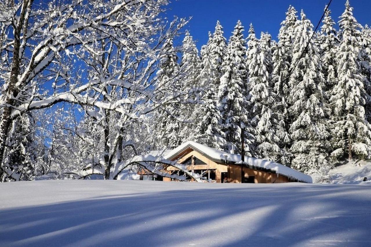 莫尔比耶Chalet Le Petit Jura别墅 外观 照片